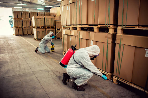 Best Cockroach Control Services  in Inwood, WV