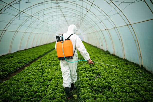 Best Local Pest Control Services  in Inwood, WV