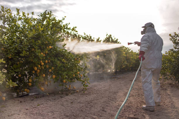 Best Best Pest Control Companies  in Inwood, WV