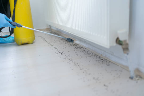Professional Pest Control in Inwood, WV